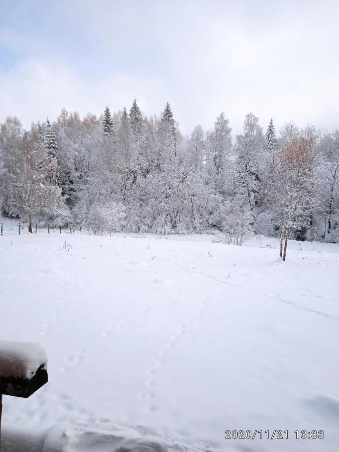 Cabana Belis Dealu Negru Екстериор снимка